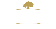 Loja Damatta